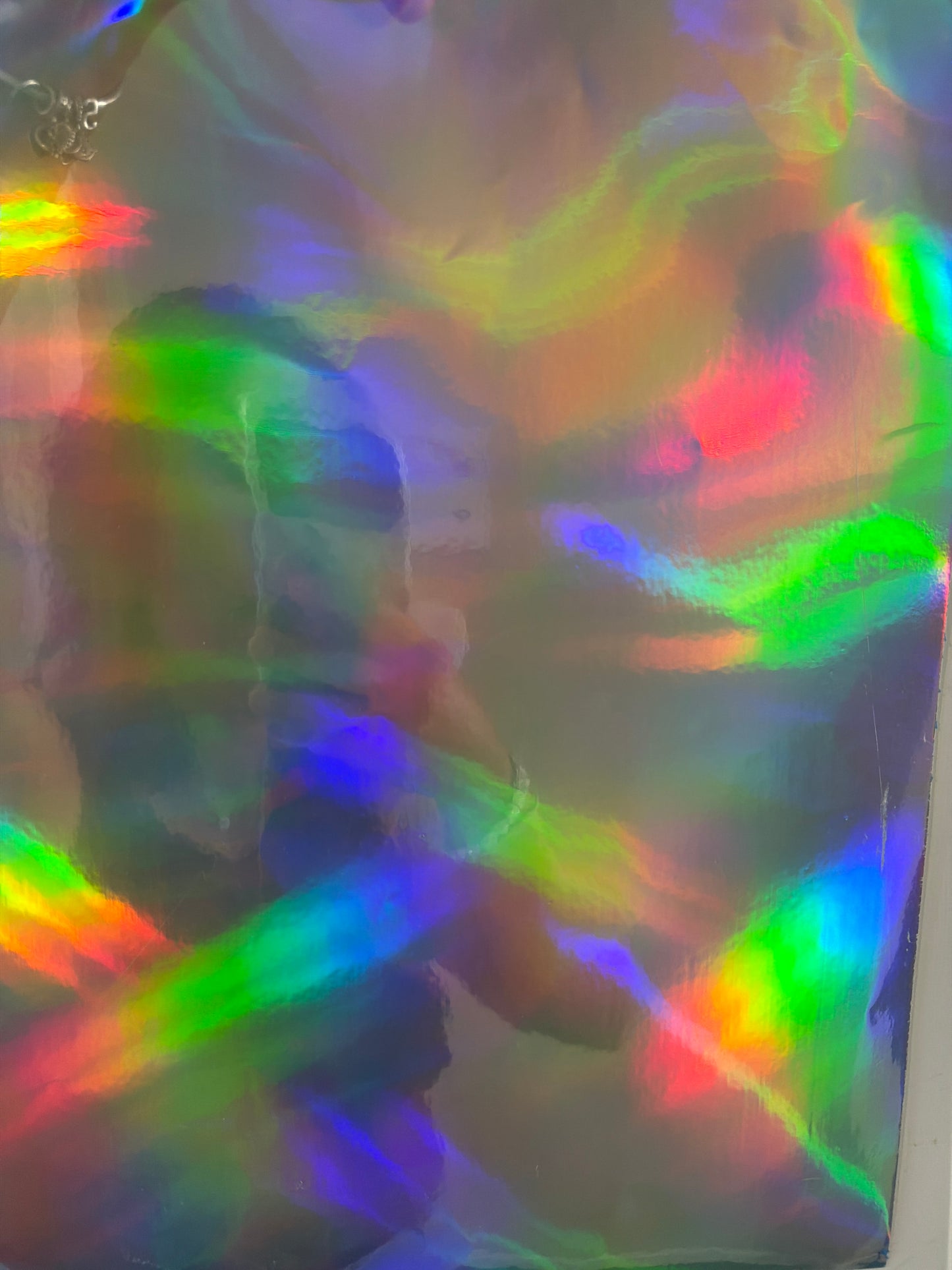 PALETOSOS Silver Holographic 36x5