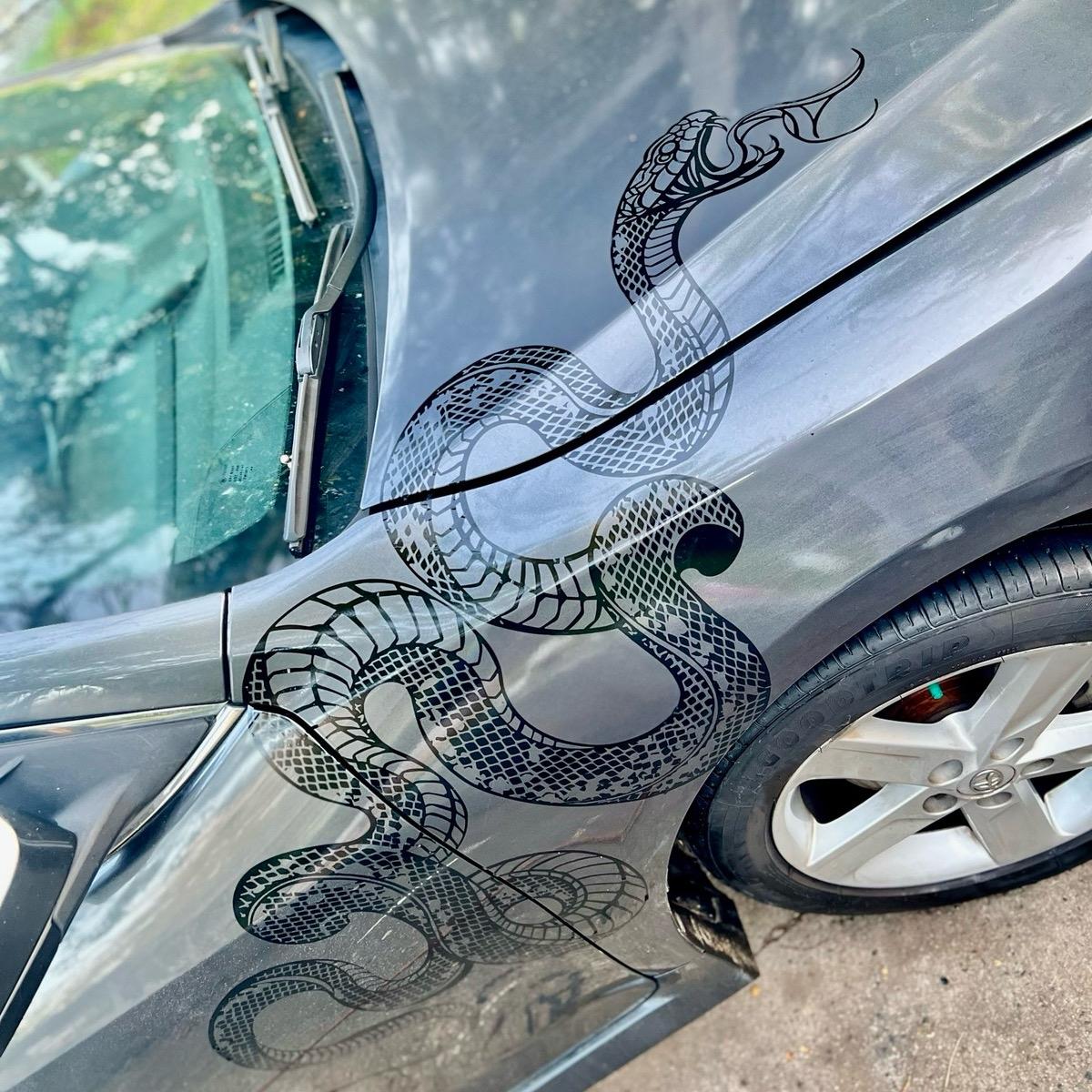 Snake Cobra Large Decal