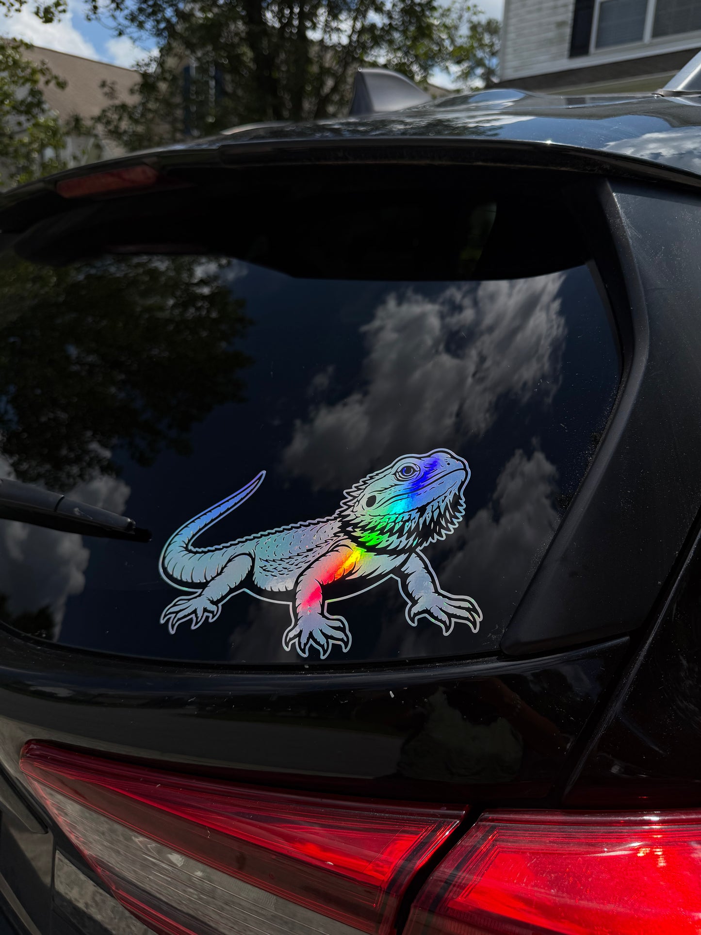 Bearded Dragon Decal