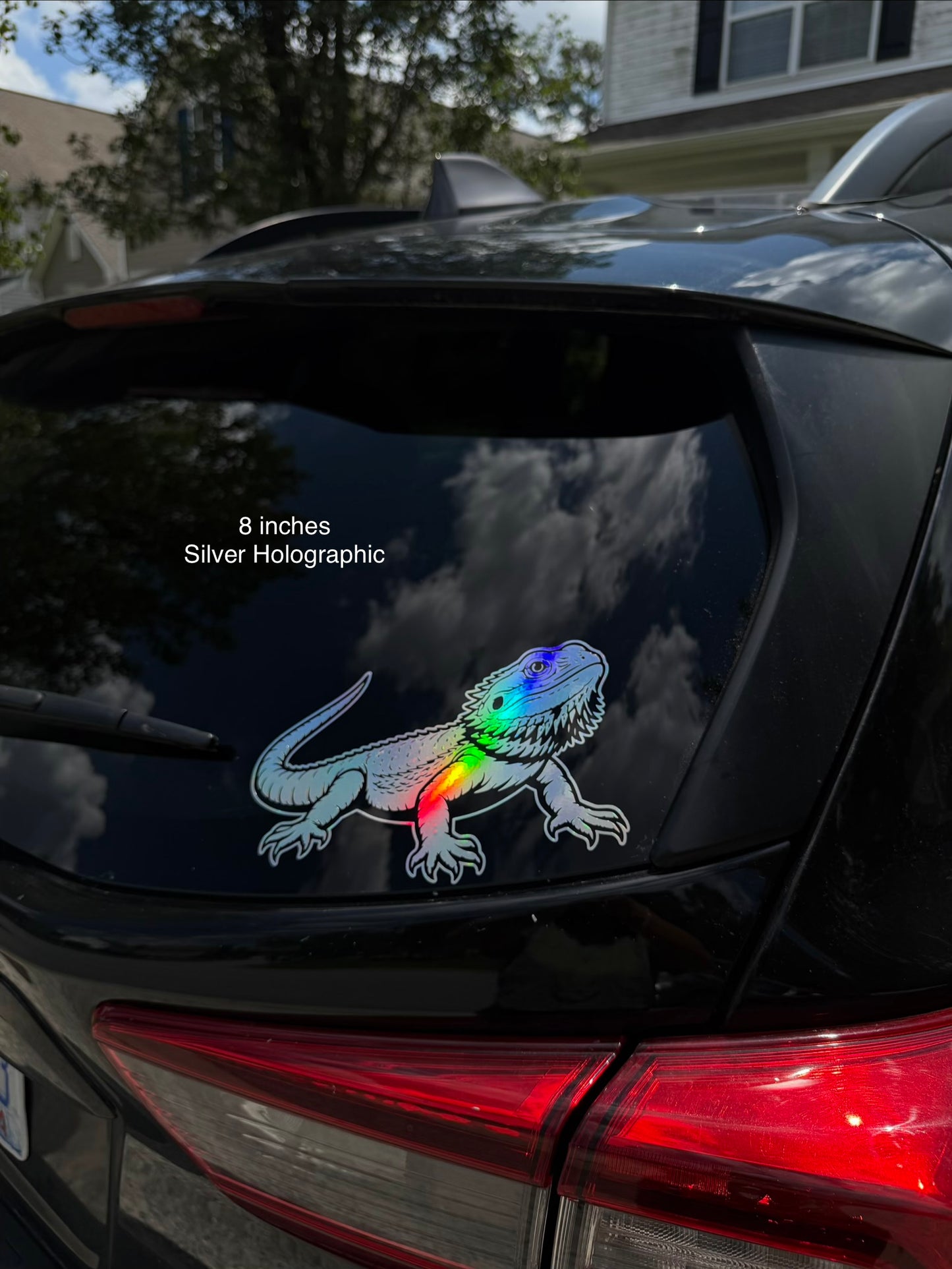 Bearded Dragon Decal